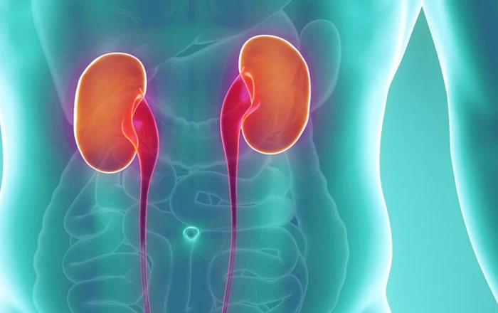 Chronic Kidney Disease
