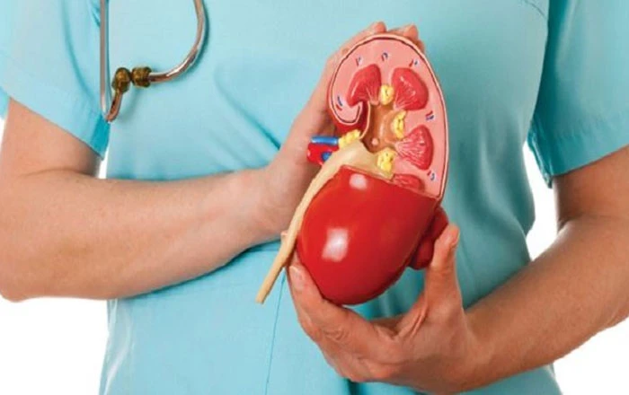 Nephrotic Syndrome