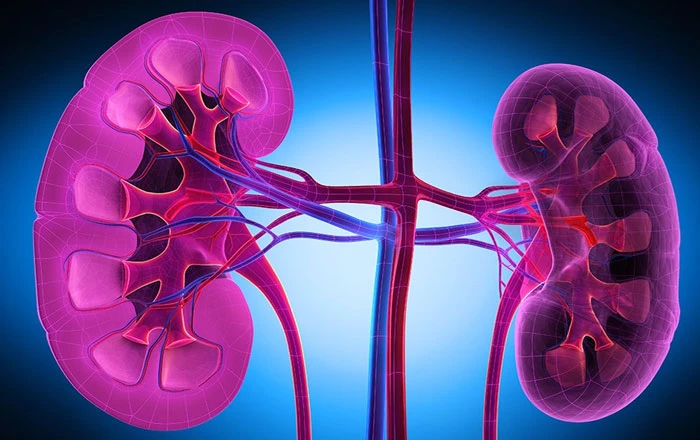Diabetic Nephropathy